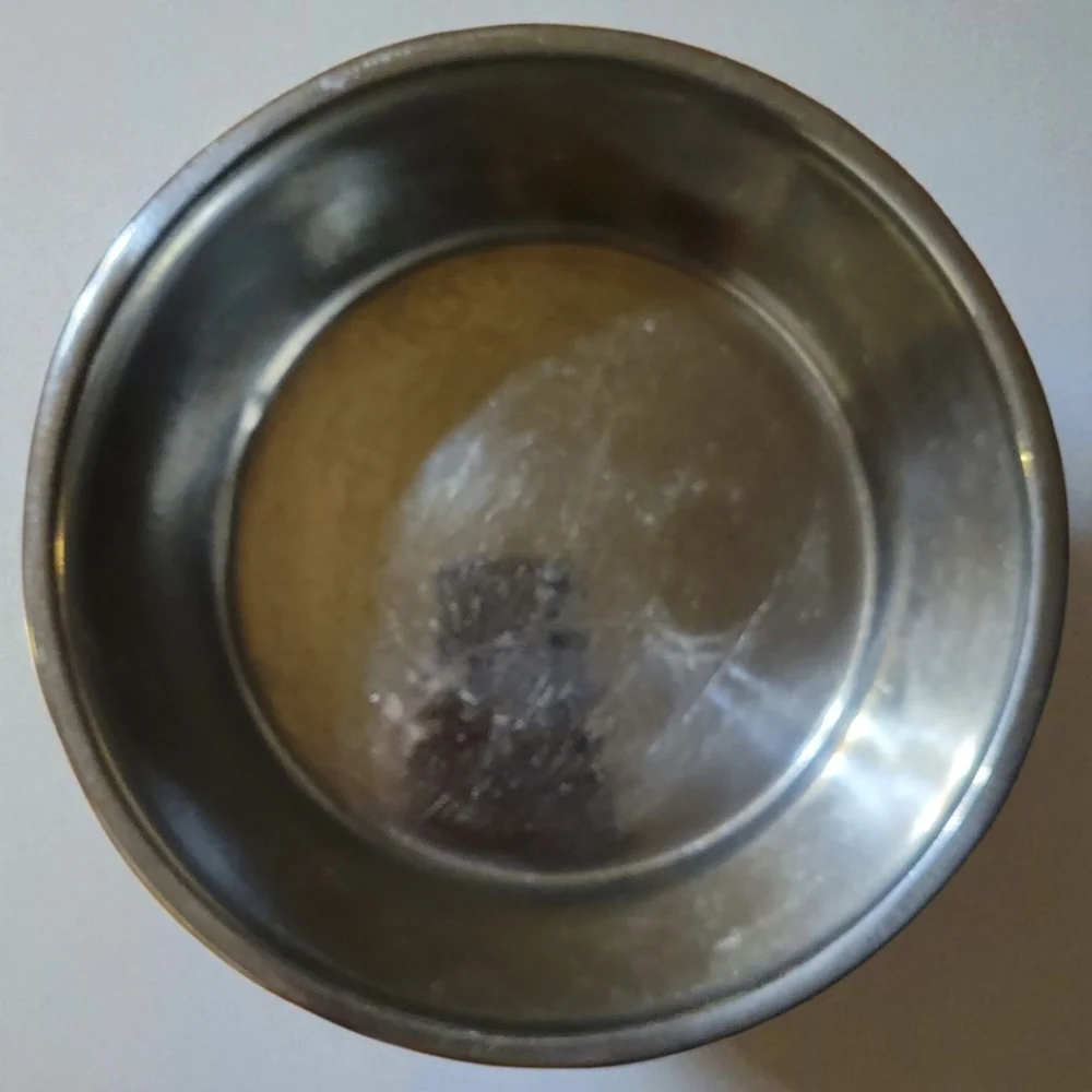 NWT Vibrant Life Dog Cat Pet Dish Bowl Black White Bones Stainless 48 fl oz